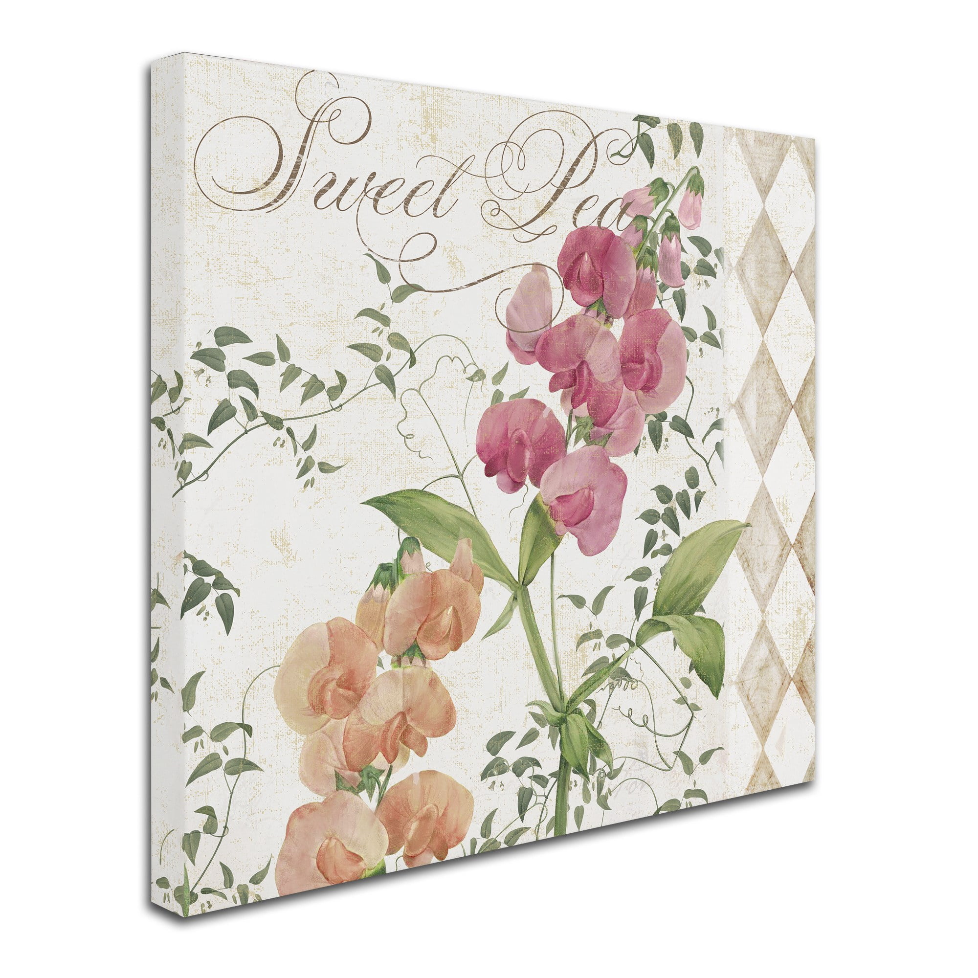 Trademark Fine Art "Sweet Pea" Canvas Art by Color Bakery