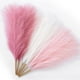 thumbnail image 1 of Hierba artificial de pampa, decoración rosa Serwalin, 45 cm, 6 unidades, 1 of 9
