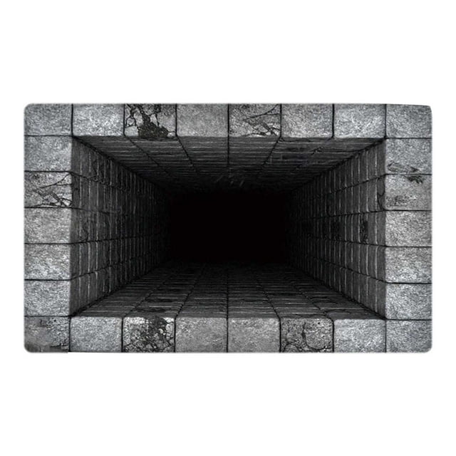 Hearth & Gear 3D Visual Optical All Weather Doormat Diatomite Bath Mat Super Absorbent Non Floor Rug 3D Rug,Easy Clean Living Room Kitchen Entrance Striped Blanket Blanket Throws for Couch Living Room