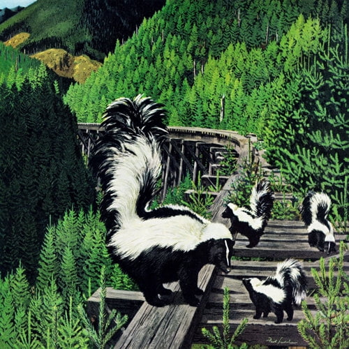 "Skunk Family" Painting Print on Wrapped Canvas