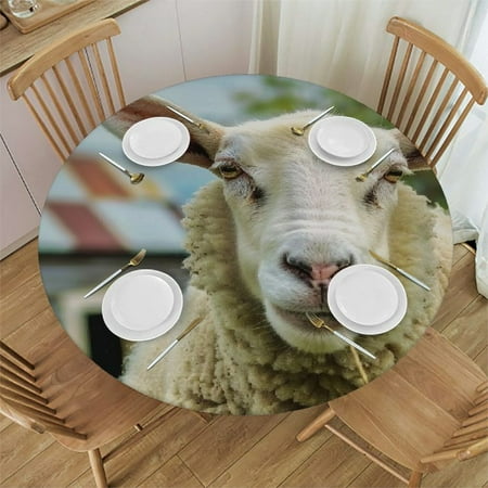 

BCIIG Sheep Field House Round Table Cover Stain Resistant and Washable - Perfect for Indoor Outdoor Tablecloth Kitchen Dining Wedding Parties 100% Polyester Waterproof Table Cloth 46 -50