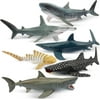 Toymany 6PCS 5-8" L Realistic Shark Bath Toy Figurines, Plastic Ocean Sea Animals Figures Set Includes Whale Shark,Tiger Shark,Mako Shark, Cake Toppers Christmas Birthday Gift for Kids Toddl