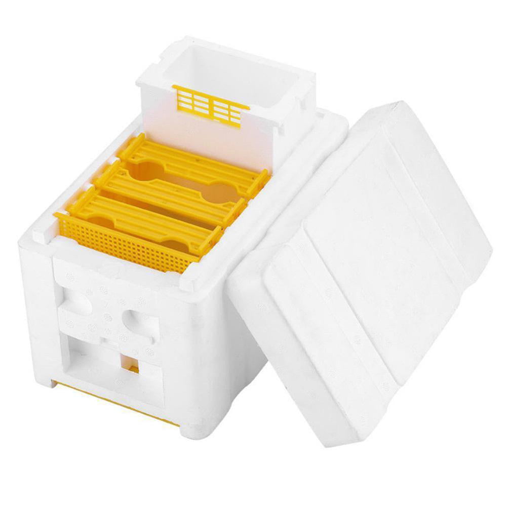 Details about   Auto Honey Beehive Frames Beekeeping Kit Bee King Box Pollination Box 