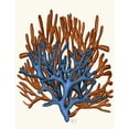 thumbnail image 2 of Fab Funky 26x32 Black Ornate Wood Framed with Double Matting Museum Art Print Titled - Blue and Orange Corals b, 2 of 4