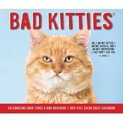Willow Creek Press 2021 Bad Kitties Box Calendar