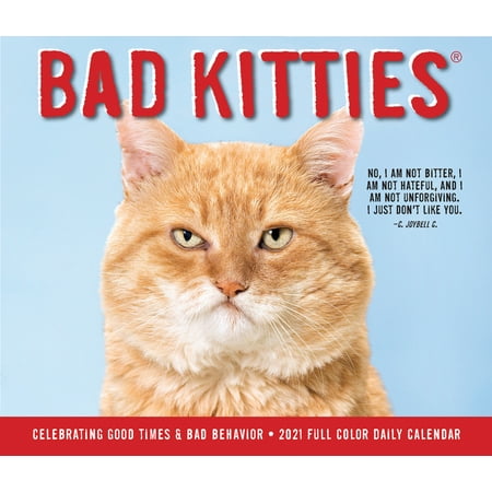 Willow Creek Press 2021 Bad Kitties Box Calendar
