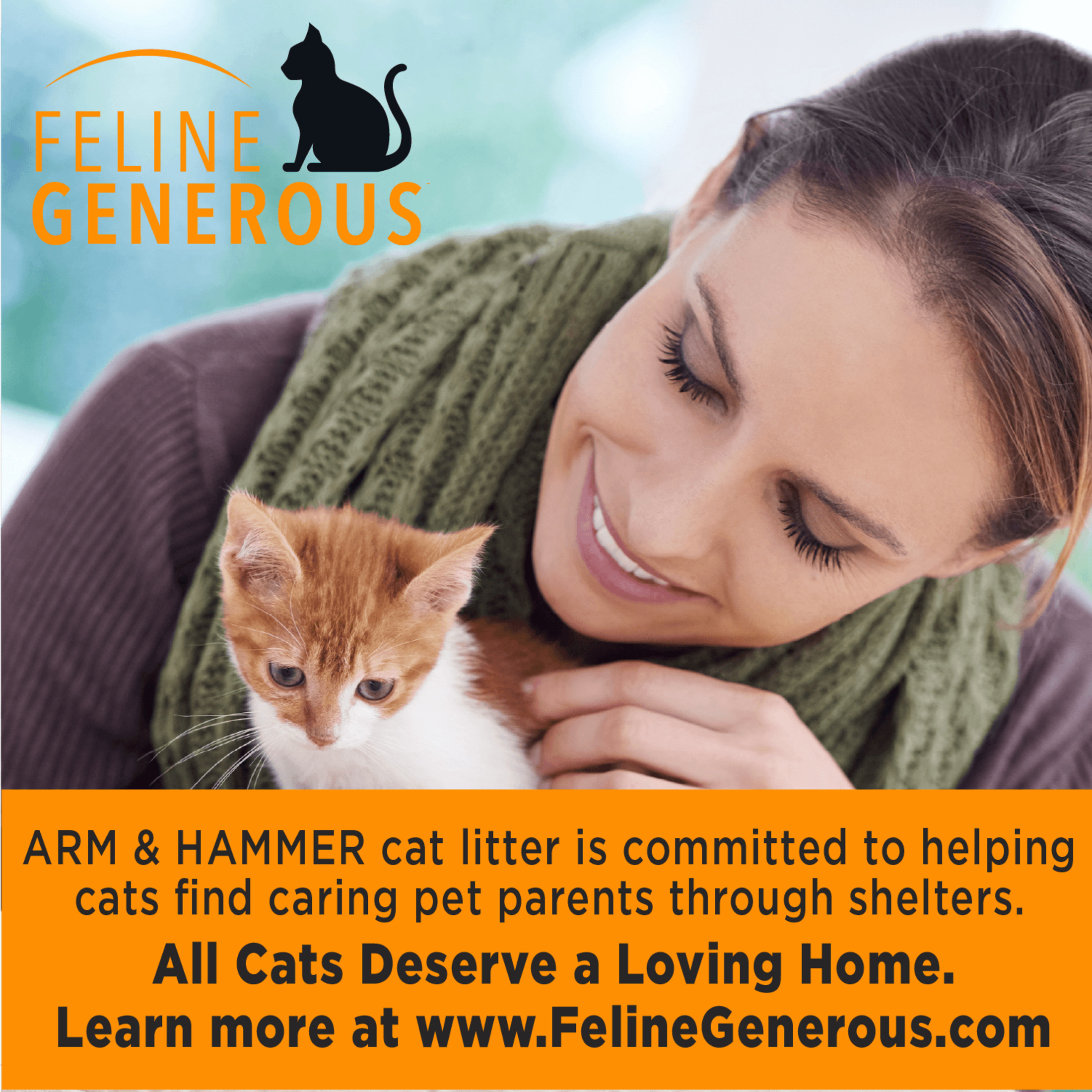 ARM & HAMMER Clump & Seal Multi-Cat Odor Sealing Litter, 38 lb photo 7