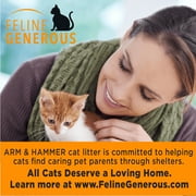 ARM & HAMMER Clump & Seal Cat Litter Multi-Cat Complete Odor Sealing Clay Clumping Cat Litter, 28 lb