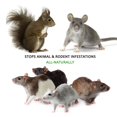 thumbnail image 2 of Mice/Mouse, Rat, Squirrel & Rodent Wire, Engine & Vehicle Protection Spray Prevents Chewing & Nesting for Cars, Trucks, RV’s, ATV’s. Great for Winter Protection. Ready to Use (128 Oz Gallon), 2 of 9