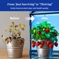 thumbnail image 2 of TOMNK 4 Tier LED Grow Light Greenhouse with Adjustable Height, 3 Color Spectrum, 27.2"W x 12.4"D x 62"H for Indoor Outdoor Plants, 2 of 8