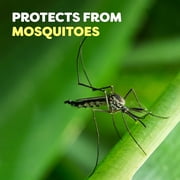 OFF! Mosquito Repellent Coil Refills, 6 ct