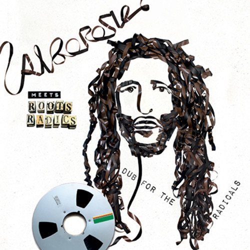 Alborosie - Alborosie Meets Roots Radics - Dub For Radicals - Music & Performance - Vinyl