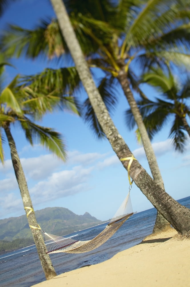 USA Hawaii Islands Kauai Hammock tied between palm trees on sandy beach
