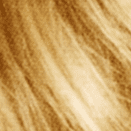 9.5 Lightest Blonde