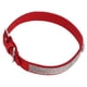 thumbnail image 4 of Collar de perro con diamantes de imitación, corona brillante, joyería de diamantes, collar para mascotas con hebilla de metal para perros y gatos, rojo, 51cm/20in, 4 of 5