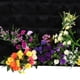 thumbnail image 4 of Bolsa De Cultivo, Bolsa De Cultivo De Hongos, Fieltro Reutilizable Para Lugares Al Aire Libre, Plantas De Follaje Para Jardín Con Balcón ANGGREK Otros, 4 of 7