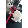 thumbnail image 7 of Bunny Kitten Harness No Pull Cat Leash Stylish Vest Harness, for Small Animal Adjustable Soft Breathable Walking Harness Set, 7 of 7