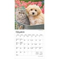 thumbnail image 3 of Kittens & Puppies | 2026 7x14" (Hanging) Monthly Mini Wall Calendar | BrownTrout, 3 of 9