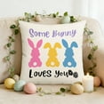 thumbnail image 6 of LHNFt Spring Easter Pillow Covers 18x18 Inch, Cute Bunny Rabbit Floral Easter Decorations Watercolor Pink Flower Butterfly Decorative Throw Pillow Cases Outdoor Farmhouse Decor for Sofa Couch Bed, 6 of 6