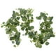thumbnail image 4 of Decoración de pared de fondo de vid de planta de eucalipto Gypsophila colgante de vid falsa, 4 of 7