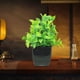 thumbnail image 4 of Decoración del hogar, decoración de habitaciones, decoración de paredes, plantas artificiales decorativas, plantas verdes de simulación, arreglos para muebles de interior, sala de estar, ramo de plást, 4 of 6