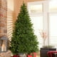thumbnail image 5 of mfyjkho 40 Lazos De Terciopelo Para Decorar El Árbol De Navidad, Para Coronas, Guirnaldas Y Manualidades Navideñas Con Lazos Retorcidos., 5 of 5
