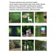 thumbnail image 4 of Panel de Decoración de Pared Verde Plantas Artificiales Pared de Hierba Panel Botánico Sintético Fondo de Hierba Pared Verde para Interior Decoración de Pared Al Aire ANGGREK Otros, 4 of 8
