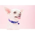 thumbnail image 2 of Puppy Collar with Bell, 2 Pack Girl's Small Dog Collar with Bell Nylon Cute Female Cat Collars Adjustable for XXS XS Little Small Girl's Kitten Dogs, 2 of 5