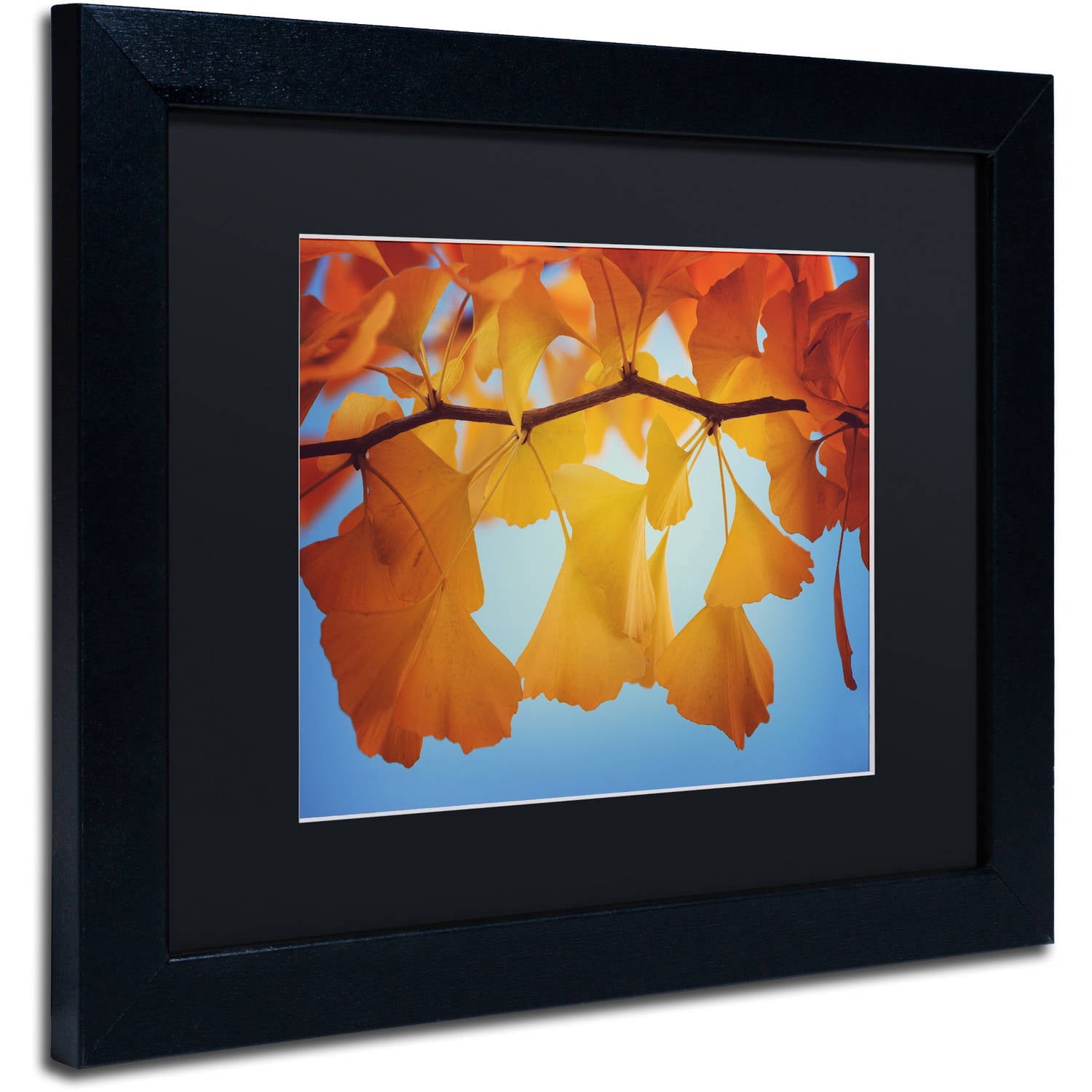 "Spiritual Food" Canvas Art by Philippe Sainte-Laudy Black Matte, Black Frame