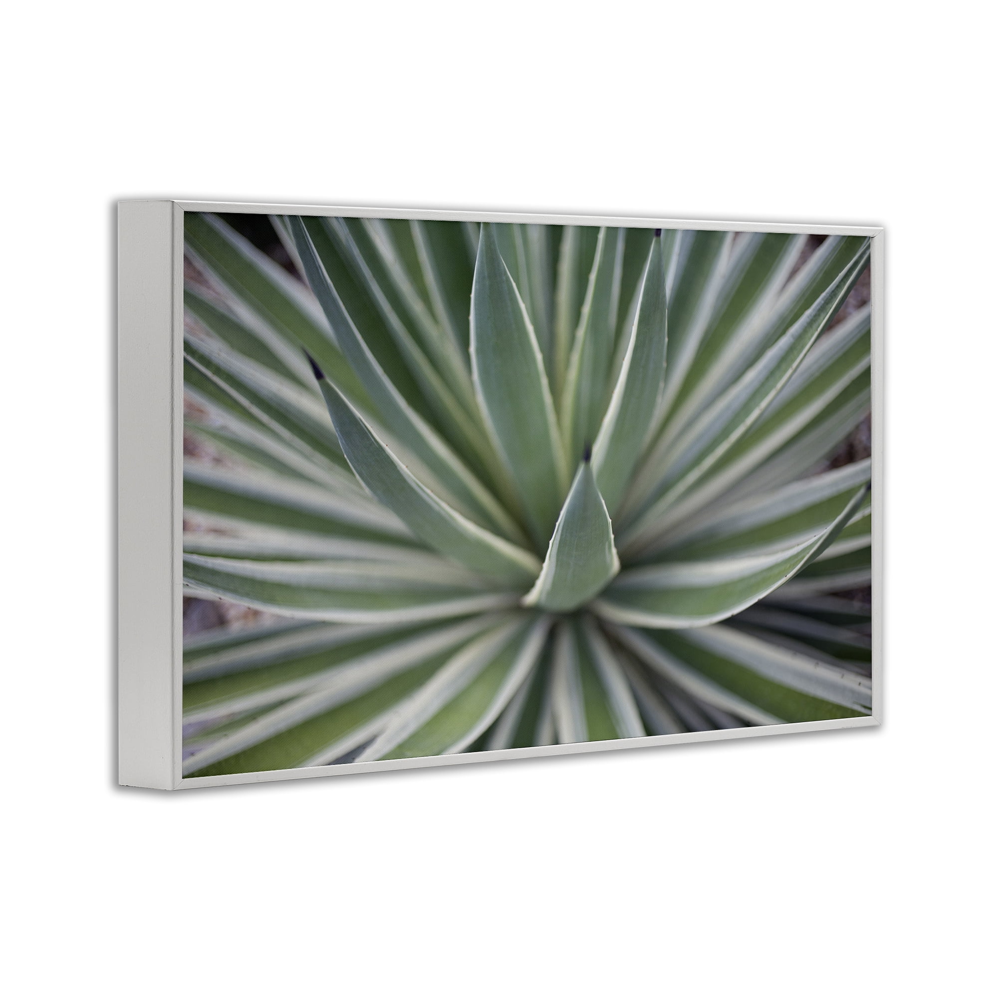 Stupell Industries Striped Plant Leaves Botanical & Floral Photography White Framed Art Print Wall Art, 30 x 20