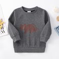 thumbnail image 3 of Sudadera con capucha texturizada con estampado de dinosaurio y letras para niño pequeño de PatPat, 3 of 5
