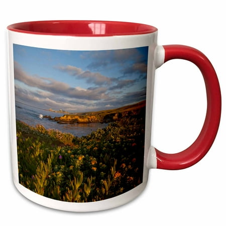 - 3dRose Piedras Blancas Lighthouse, Big Sur, California - US05 CHA0148 - Chuck Haney - Two Tone Red Mug, 11-ounce