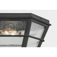 thumbnail image 3 of C2514-FRN-Troy Lighting-Lake County - 2 Light Flush Mount, 3 of 4