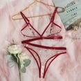 thumbnail image 2 of Conjunto de sujetador Sexy con estampado de corazón para mujer, lencería erótica con anillo conectado, ropa interior de 2 piezas, Bralette transparente de malla, 2 of 5