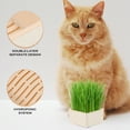 thumbnail image 2 of Cat Treats Grass Seeds Planter Nursery Box Hydroponics Plastic, 2 of 6