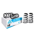 thumbnail image 1 of Resortes Originales AG para Auto Completo para Fiat Palio R 2008 a 2009 4 Piezas Nuevos, 1 of 5
