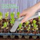 thumbnail image 2 of 2PCS Seedling Transplant Tongs Remove Tongs Seedling Transplanting Tool Stainless Steel Gardening Plants Seedling, 2 of 5