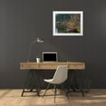 thumbnail image 3 of Fitzharris, Tim 18x15 White Modern Wood Framed Museum Art Print Titled - Nymph Lake-Rocky Mountain National Park-Colorado, 3 of 4