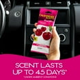 thumbnail image 3 of Power Bloc Car Air Freshener, Coronado Cherry Scent, 3 of 4