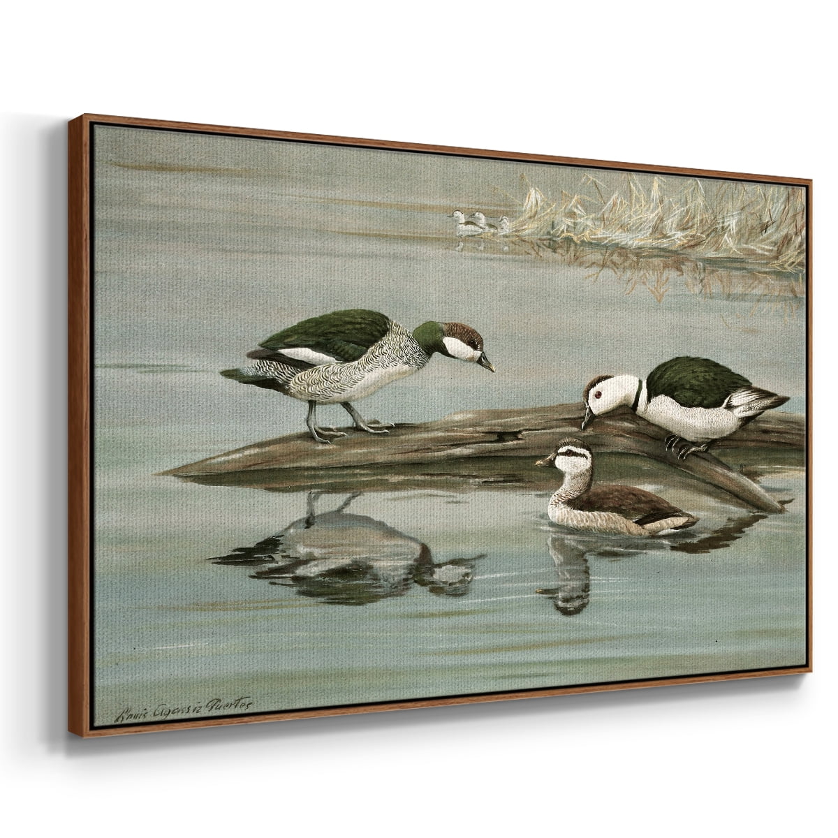 Vintage Animal Print-XIX By Wexford Home Framed in Walnut Wood Gallery Wrapped Canvas 17 in. x 25 in.