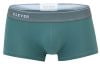 Green_Style_2042