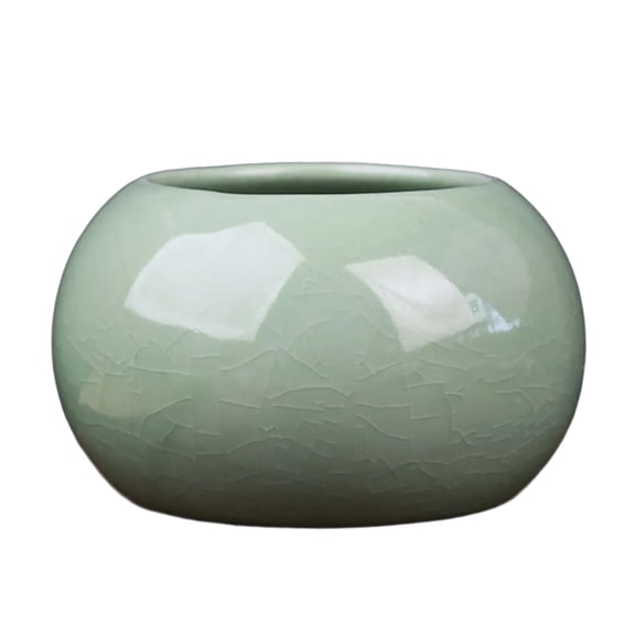 Lovely Ceramic Vase Planter With 300ml Capacity For Coin Plant And Other Small Indoor Herbage