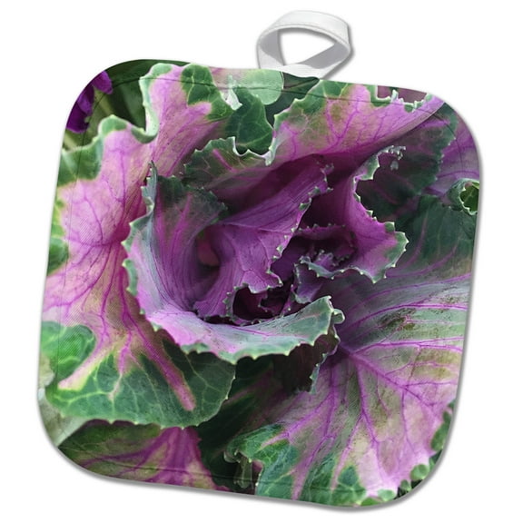 3dRose, Cabbage Flower, 8x8 Potholder