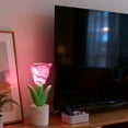thumbnail image 5 of Oioii 5.31x2.09in Preserved Florals Night Light - Mini Ambient Lamp, Perfect Valentine's Day Festive Decor & Home Accent for Romantic Atmosphere, C, 5 of 7