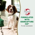 thumbnail image 4 of Urine Destroyer Plus Dog, 32 Ounces, Enzymatic Formula, Ready-to-Use, 4 of 9