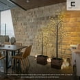 thumbnail image 5 of CAPHAUS 6 Feet, 72 inch Full Brown Twinkling Birch Tree w/ 72 LED Lights, Lighted Birch Tree, Full Artificial Brown Twig Tree w/ Warm White Lights for Festival, Holiday Decoration Indoor, 5 of 9