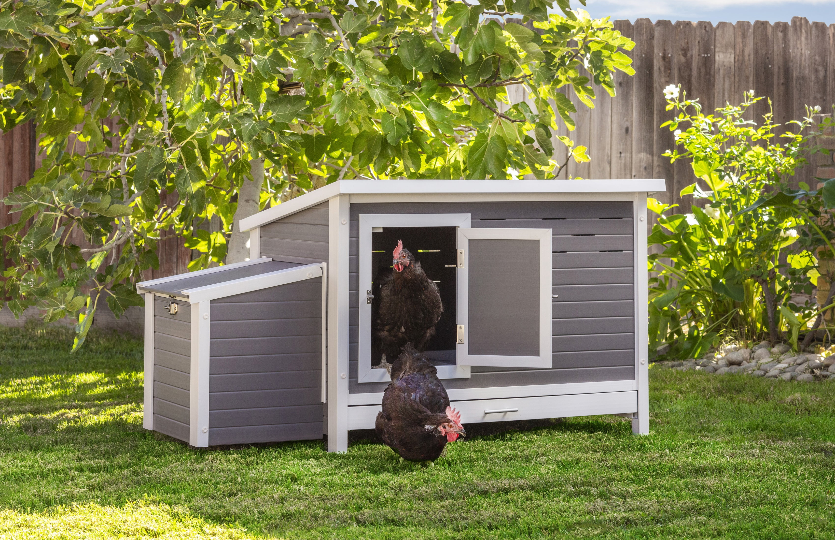 New Age Pet ECOFLEX® Fontana Premier Chicken Barn, Weather Resistant Gray Coop