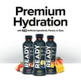 Ready Sports Drink Berry Lemonade, 16.9 fl. oz., 1 Count Bottle