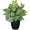 #Green Mix White, variant on 14.5" Artificial Indoor Decor, Potted Silk for Shelves Living Room Decorative, Small Artificial Office Desk in Pots, Faux Peperomia Hope Tropical House