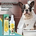 FidoFlix Dog Potty Training OIF8 Spray,Potty Here Spray for Dogs for Indoors & Outdoor,Training